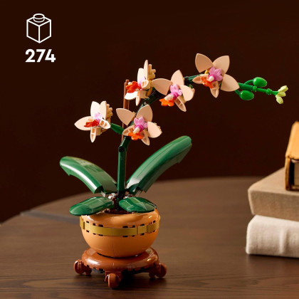LEGO Botanical 10343 - Mini-orchidea