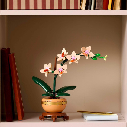 LEGO Botanical 10343 - Mini-orchidea