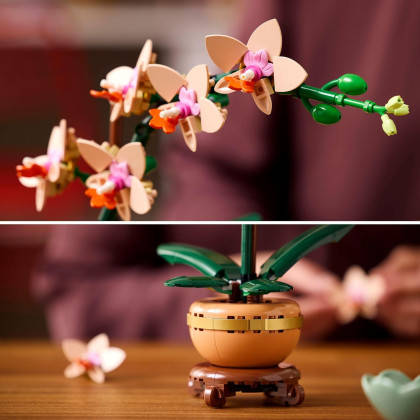 LEGO Botanical 10343 - Mini-orchidea