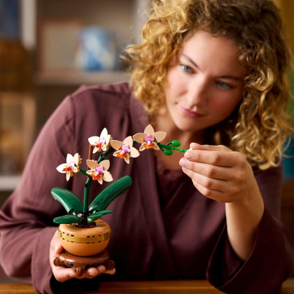 LEGO Botanical 10343 - Mini-orchidea