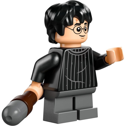 LEGO Harry Potter 30706 Lezione di Quidditch