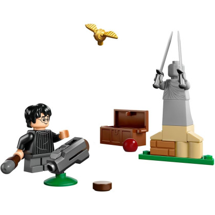 LEGO Harry Potter 30706 Lezione di Quidditch