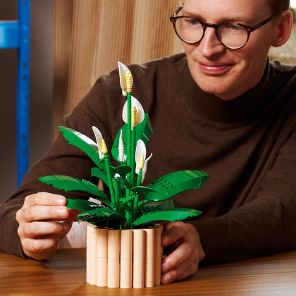 LEGO Botanical 11504 - Spatifillo