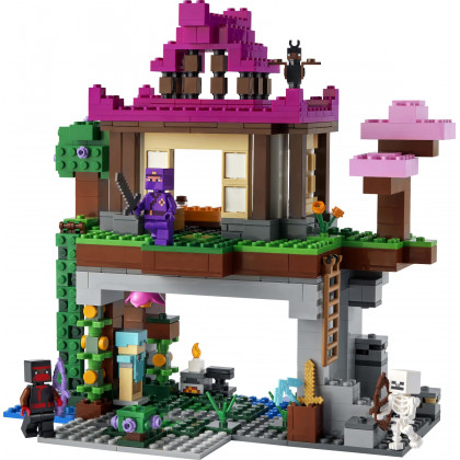 LEGO Minecraft  21183 The Training Grounds House Set